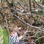 2015_04_26_Knytte_11