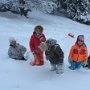2015_11_22_Frilufsare_10