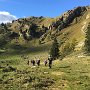 2016_10_09_Mulle_02