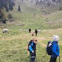 2016_10_09_Mulle_20