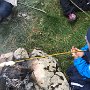 2016_10_09_Mulle_31