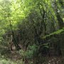 2016_05_PaddlingStrovareGoPro_54