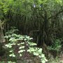 2016_05_PaddlingStrovareGoPro_55